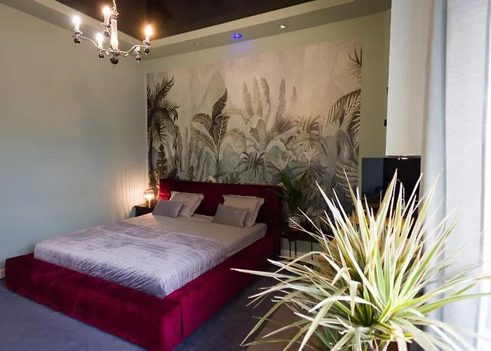 Apartament Piotrkowska 67 公寓 罗兹